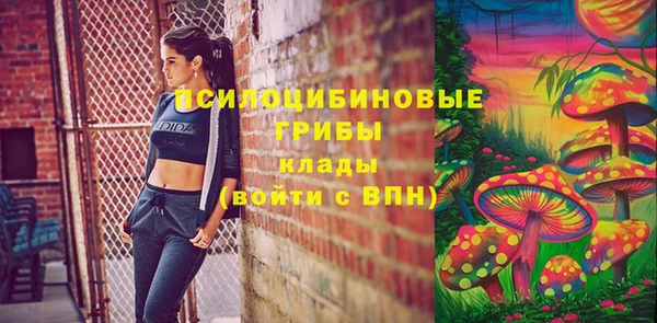 ПСИЛОЦИБИНОВЫЕ ГРИБЫ Абаза