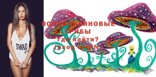 ГАЛЛЮЦИНОГЕННЫЕ ГРИБЫ Алзамай