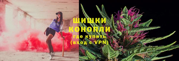 ПСИЛОЦИБИНОВЫЕ ГРИБЫ Абаза